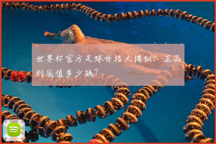 世界杯官方足球价格大揭秘:正品到底值多少钱?