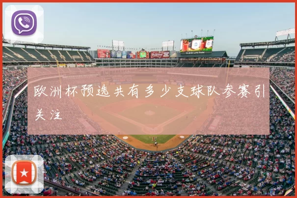 欧洲杯预选共有多少支球队参赛引关注