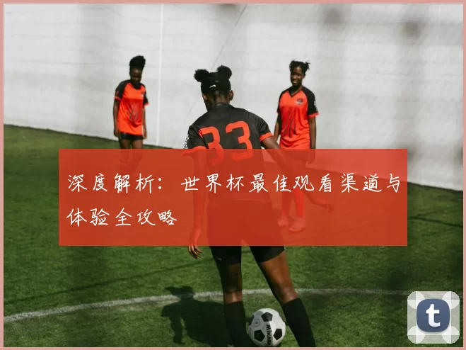 深度解析:世界杯最佳观看渠道与体验全攻略