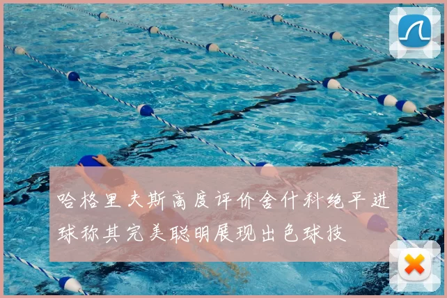 哈格里夫斯高度评价舍什科绝平进球称其完美聪明展现出色球技