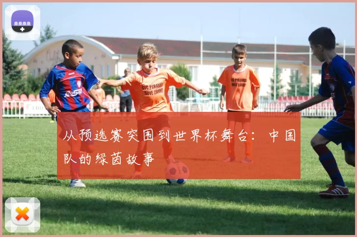 从预选赛突围到世界杯舞台:中国队的绿茵故事
