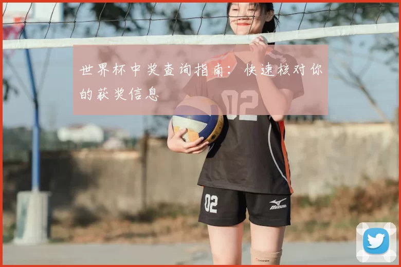 世界杯中奖查询指南：快速核对你的获奖信息