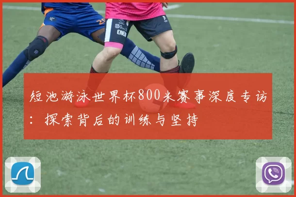 短池游泳世界杯800米赛事深度专访:探索背后的训练与坚持