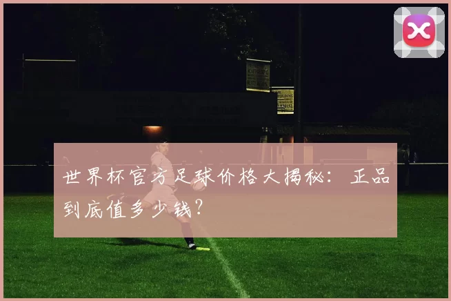 世界杯官方足球价格大揭秘:正品到底值多少钱?
