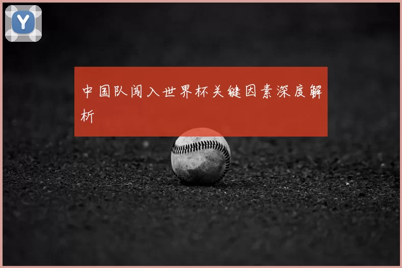 中国队闯入世界杯关键因素深度解析