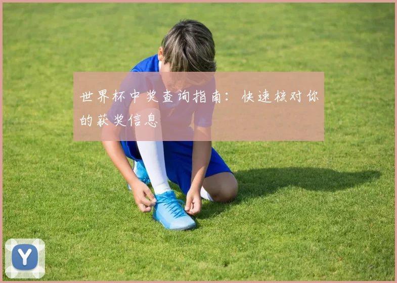 世界杯中奖查询指南:快速核对你的获奖信息