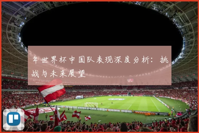 年世界杯中国队表现深度分析:挑战与未来展望