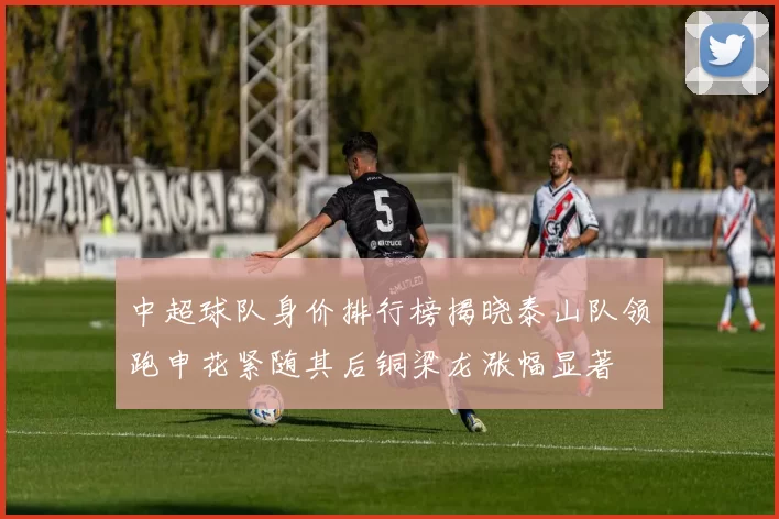 中超球队身价排行榜揭晓泰山队领跑申花紧随其后铜梁龙涨幅显著