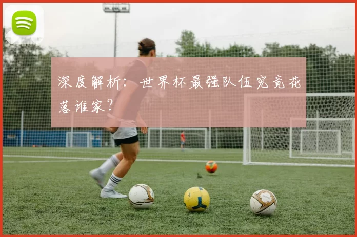 深度解析:世界杯最强队伍究竟花落谁家?